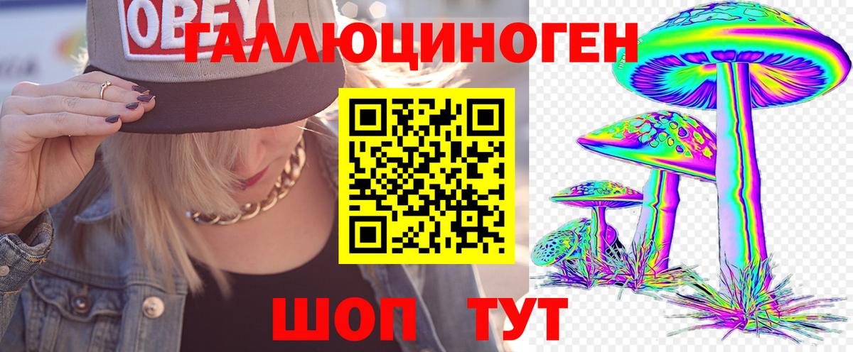 Мичуринск  Псилоцибиновые грибы Psilocybine cubensis  Вход с VPN 