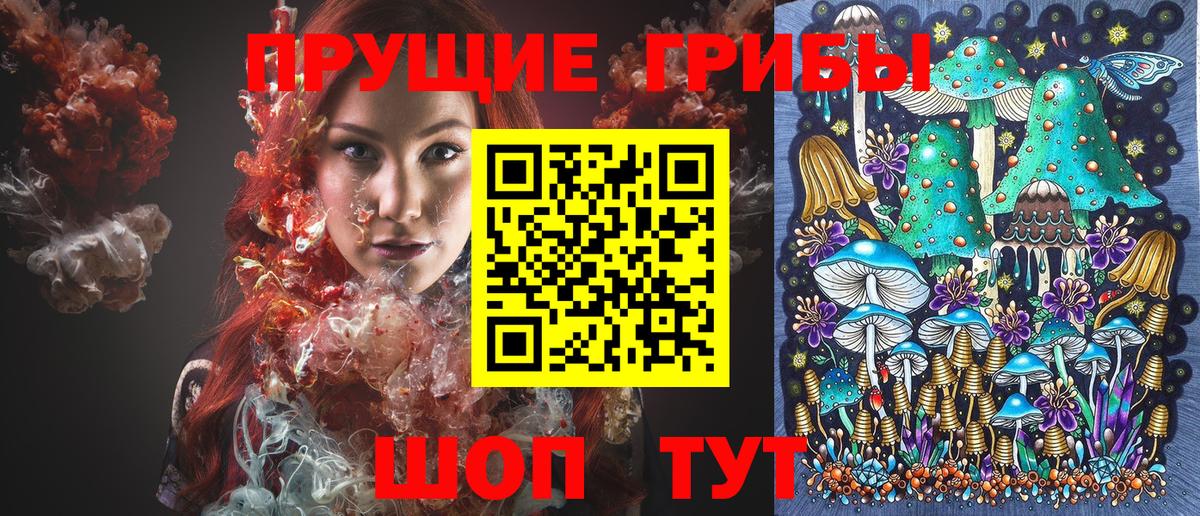 Галлюциногенные грибы Cubensis Мичуринск
